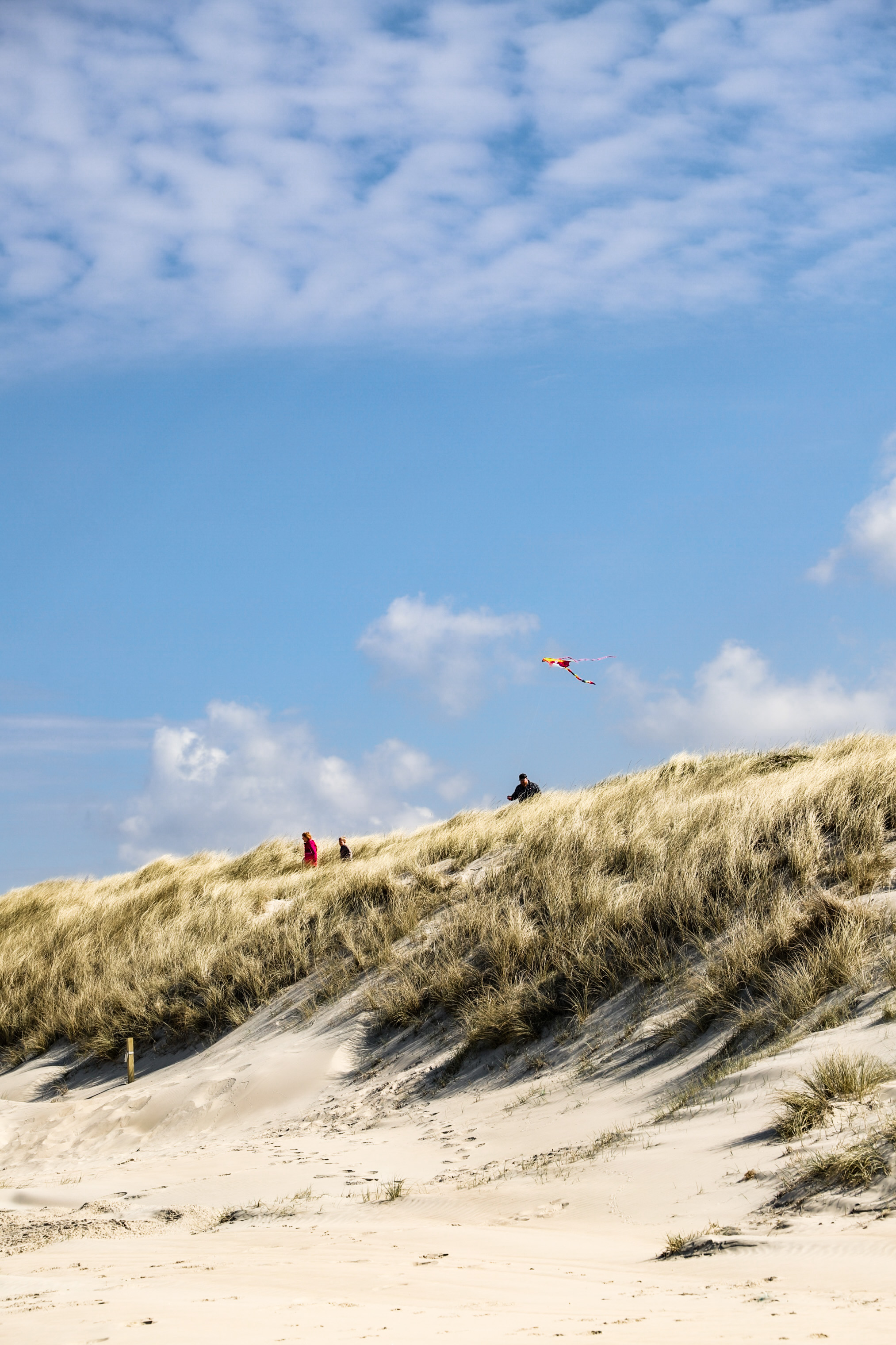 Drageflyvning ved Tornby Strand i Nordjylland