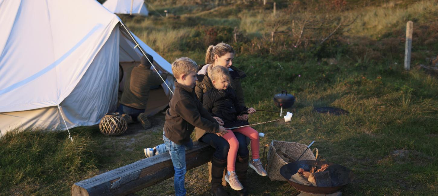 Nyhed - VisitData lancerer AI