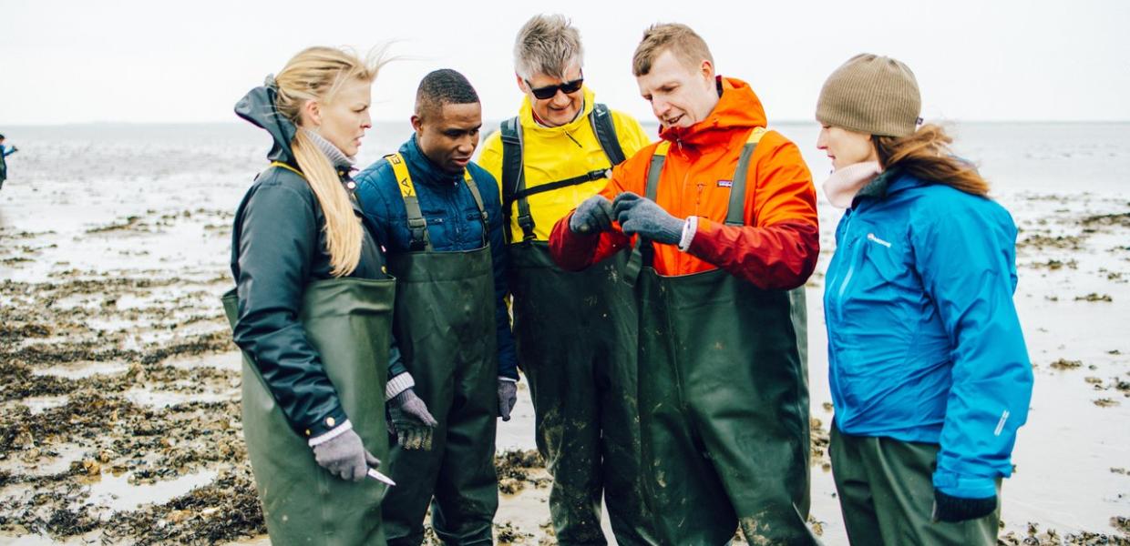 Spørgsmål omkring fakturering