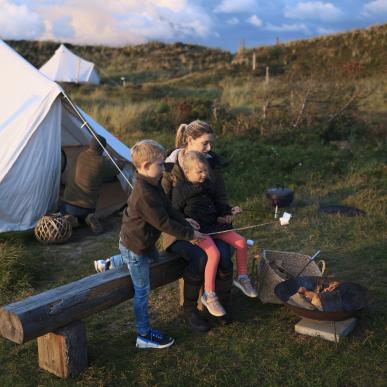 Nyhed - VisitData lancerer AI